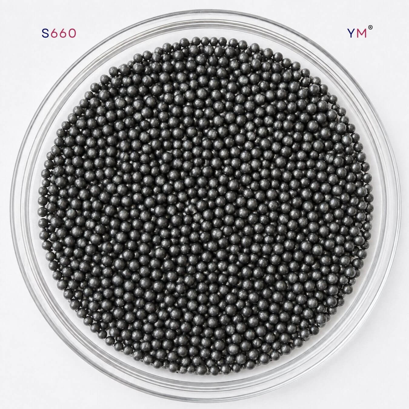 High Carbon Steel Shot
